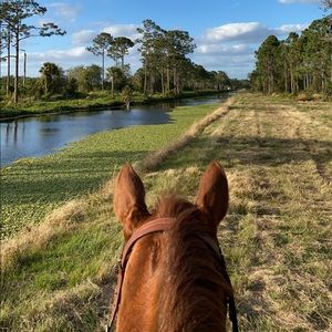 Meet your Posher, Paulina